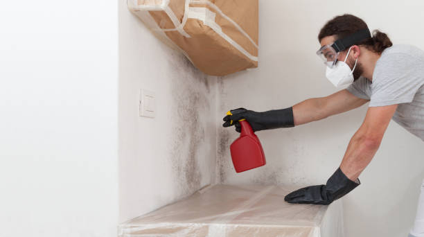 Professional Mold Remediation technician working in Newville, PA
