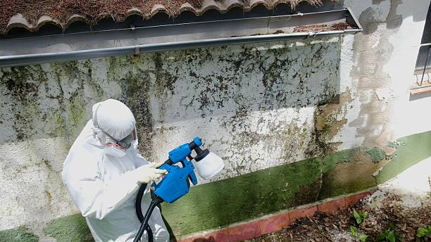 Top rated local Mold Remediation specialists in Newville, PA